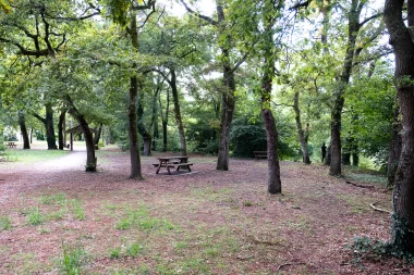 Parc du Moulin D'Ornon de Gradignan (4).